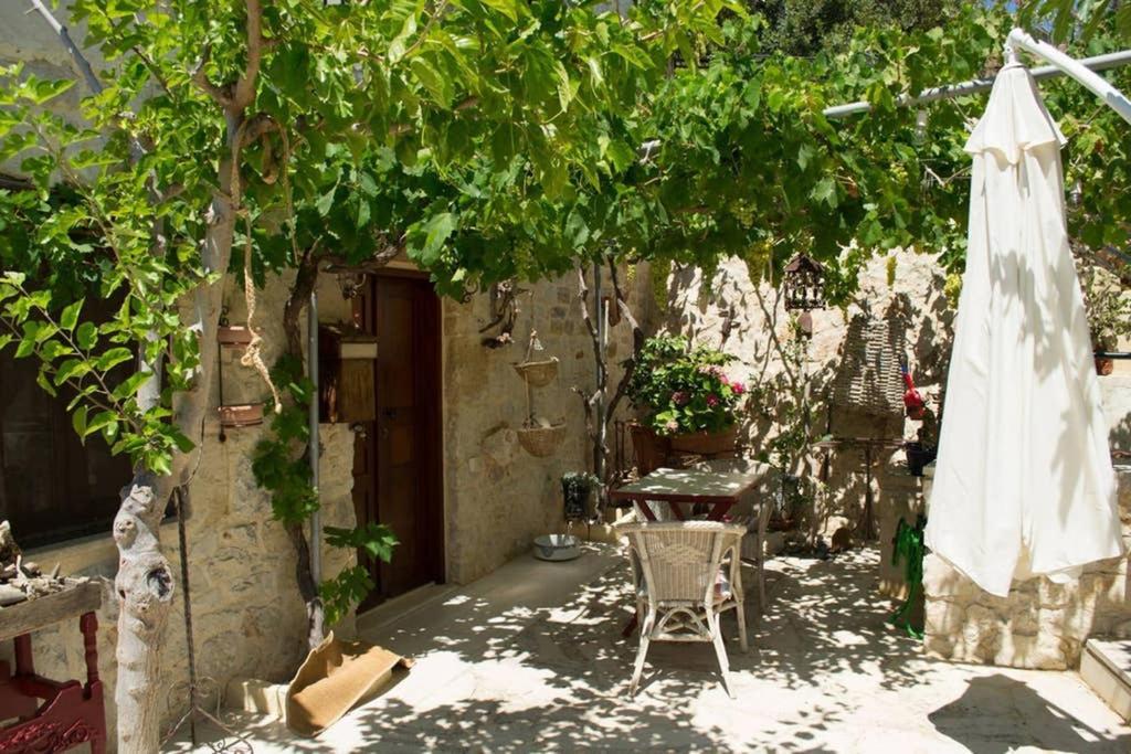 Petite Olive House Villa Sitia  Exteriör bild