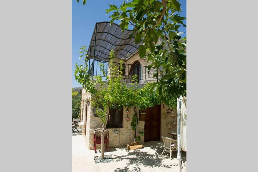 Petite Olive House Villa Sitia  Exteriör bild